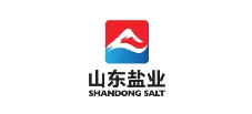 山東鹽業(yè)