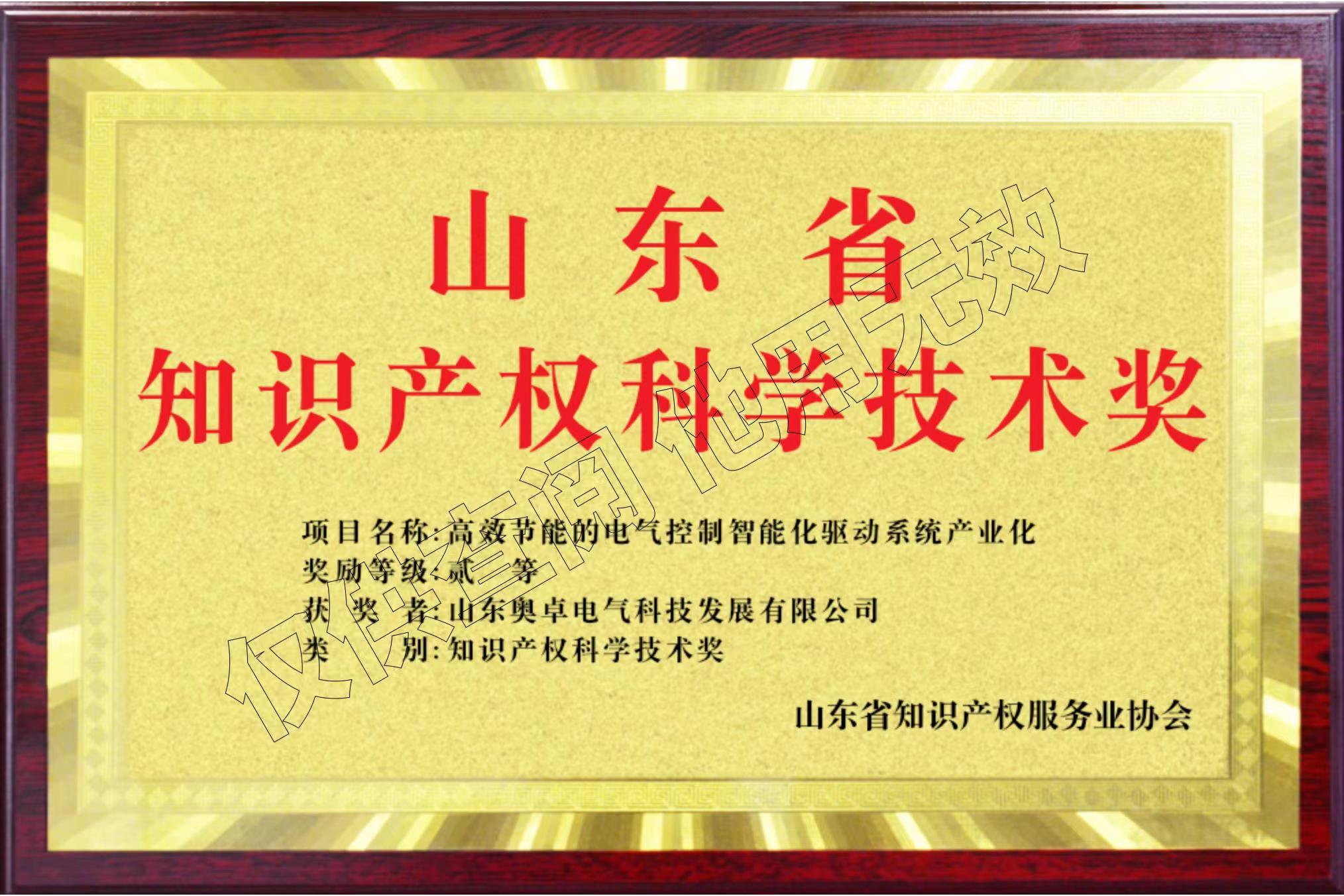 山東省知識(shí)產(chǎn)權(quán)科學(xué)技術(shù)獎(jiǎng)